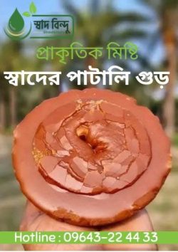 Patali-gr2 পাটালি গুড় ১ কেজি