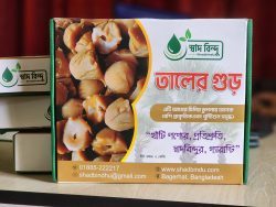 20251009_140204 বাগেরহাটের বিখ্যাত তালের গুড় ২ কেজি